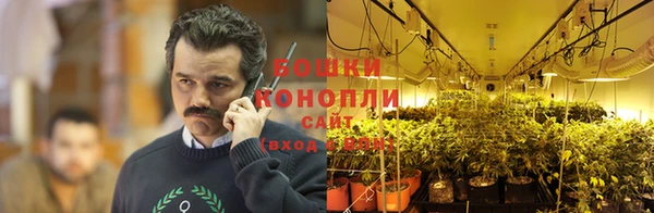 ГАЛЛЮЦИНОГЕННЫЕ ГРИБЫ Алзамай