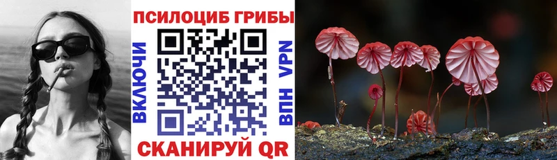 как найти закладки  Кольчугино  Псилоцибиновые грибы прущие грибы 
