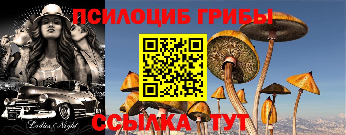 Псилоцибиновые грибы мухоморы  Галлюциногенные грибы Cubensis  Кольчугино  Вход с VPN 